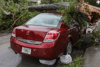 hurricane damage